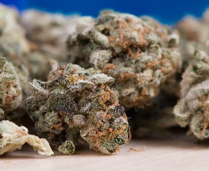Pick the Most Potent and Strongest Weed Strain to Be Delivered at Your Home!