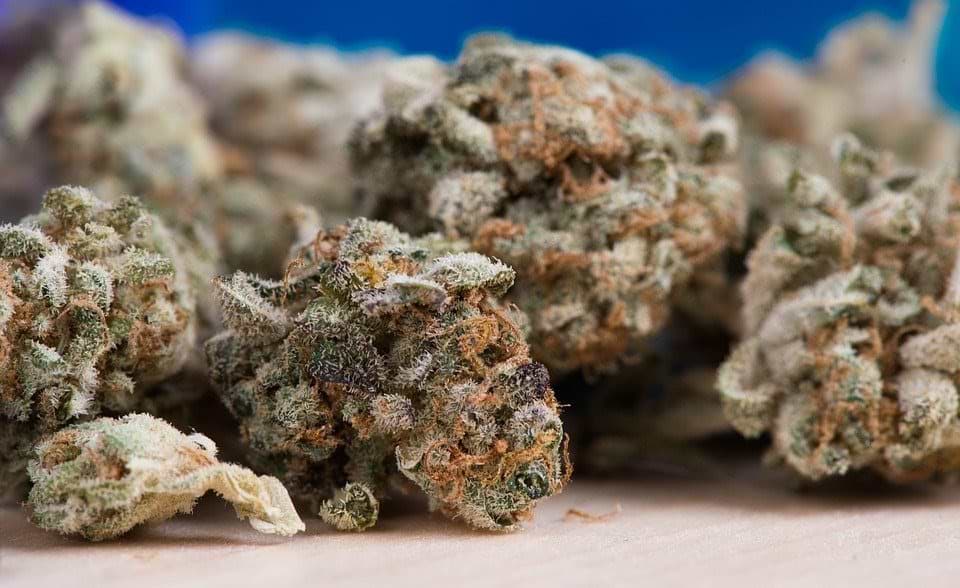 Pick the Most Potent and Strongest Weed Strain to Be Delivered at Your Home