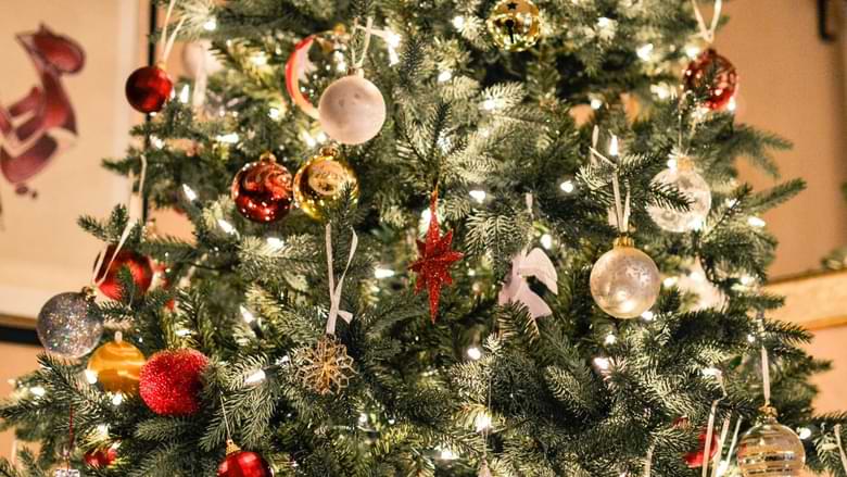 Eye Pleasing Ideas for Christmas Tree Decorations 2020