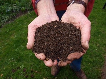 7 Tips to Improve Clay Soil with Mushroom Compost