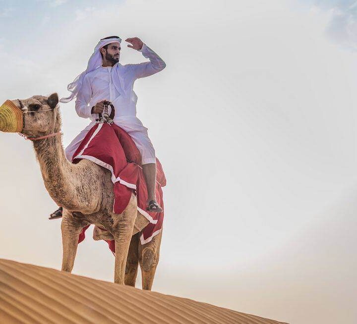 Salient Features of Dubai Desert Safari