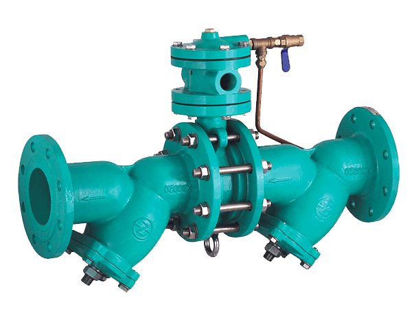 Common Issues with Backflow Preventer Valves 