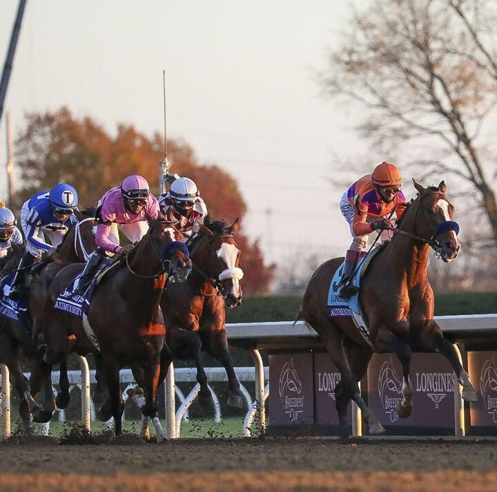 4 Reasons To Watch The Breeders Cup 2021
