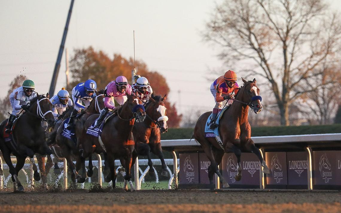 4 Reasons To Watch The Breeders Cup 2021