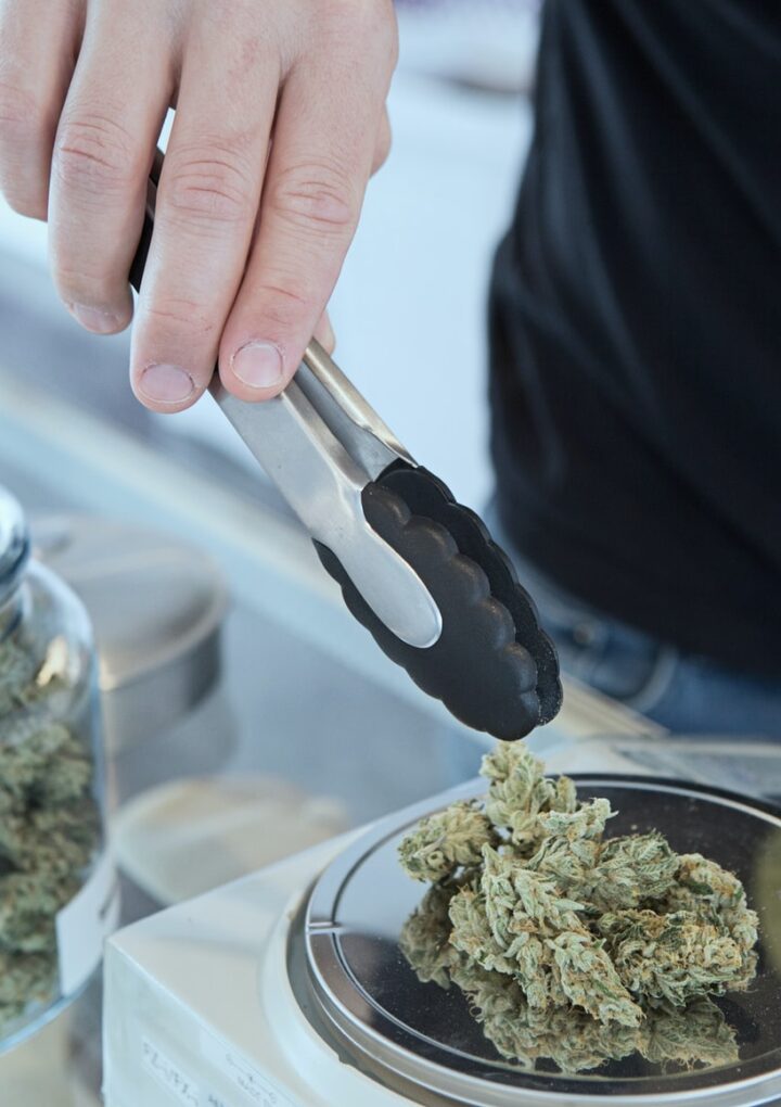 How to Gauge and Grow Your Marijuana Yield