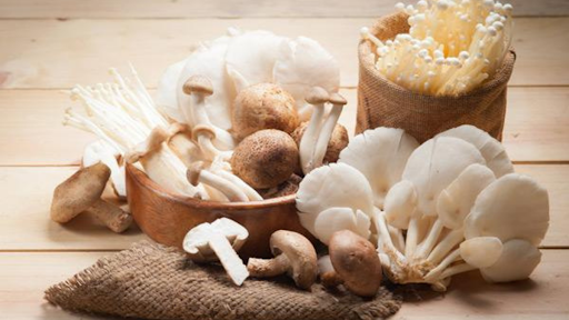 What Are Medicinal Mushrooms & How Are They Beneficial For Us?