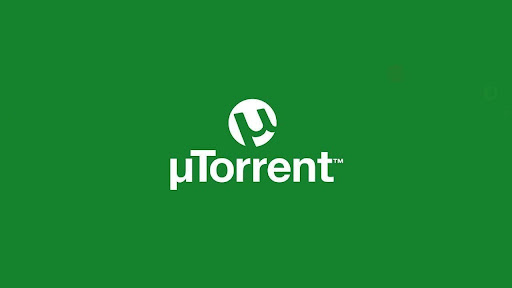 Factors to Consider When Selecting a Torrent Site