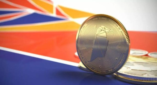 Ravencoin: What Is It & How Does It Work?