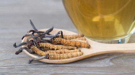 Cordyceps Fungus: Benefits Supported by Science