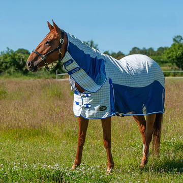 Fly Rugs for Horses: Benefits You Should Be Aware Of