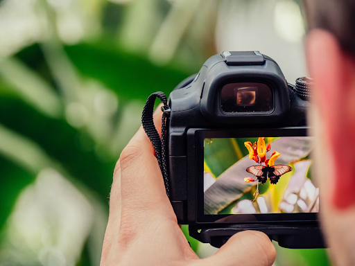 The Tips and Tricks to Marketing your Photography Business