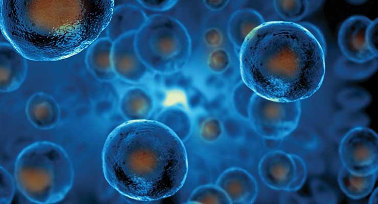 5 Perks of Stem Cell Therapy