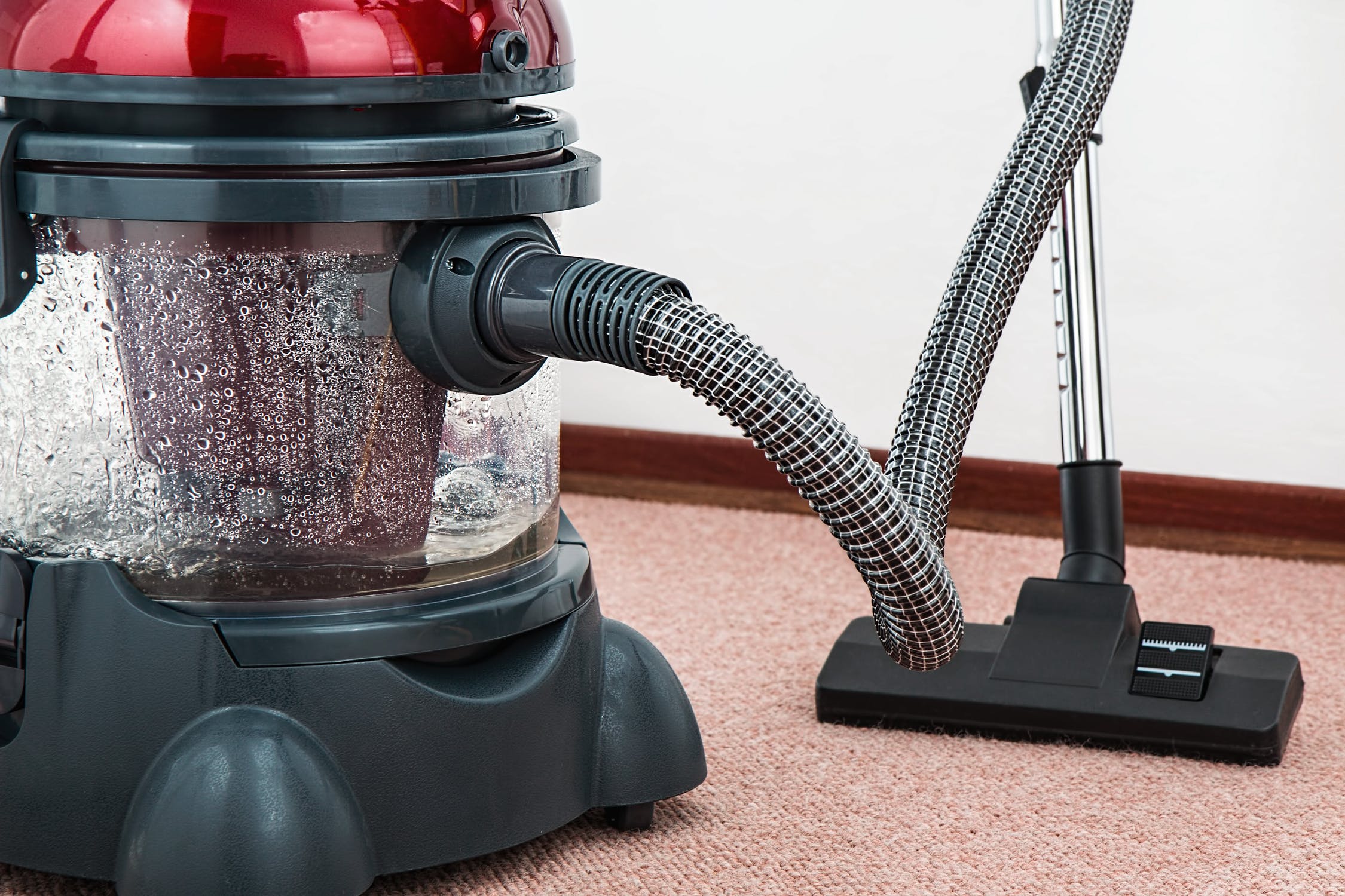 5 Carpet Cleaning Hacks For Pet Owners