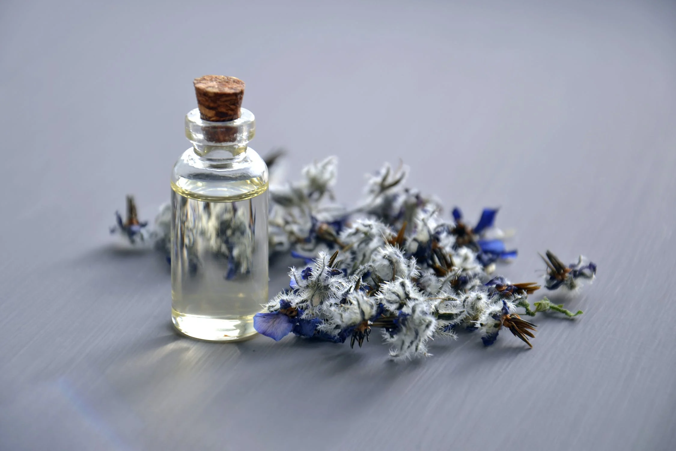 Facts You Need to Know About Kunzea Essential Oil