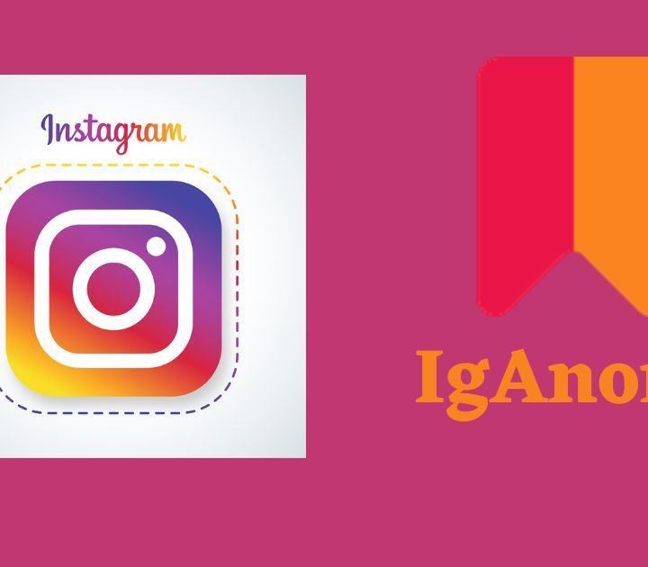 How to watch Instagram stories secretly using Iganony?
